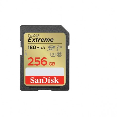 EXTREME 256GB SDXC MEMORY CARD (SDSDXVV-256G-GNCIN)