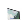 LG OLED55G19LA 139,7 cm (55") 4K Ultra HD Smart TV Wi-Fi Argento DOPPIO triplo tuner MY2021 OLED55G1 (OLED55 (OLED55G19LA_PROMO)