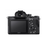 SONY ALPHA 7S II + XLR-K2M INTERFACE SHOE(ITALIA) (SS153)