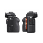 SONY ALPHA 7S II + XLR-K2M INTERFACE SHOE(ITALIA) (SS153)