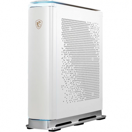 MSI Prestige P100X Creator PC i9-10900K 64 GB / 4 TB 1 TB SSD RTX3080 Win 10 Pro (00B92932-435)