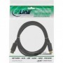 InLine 17102P cavo DisplayPort Nero (17102P)