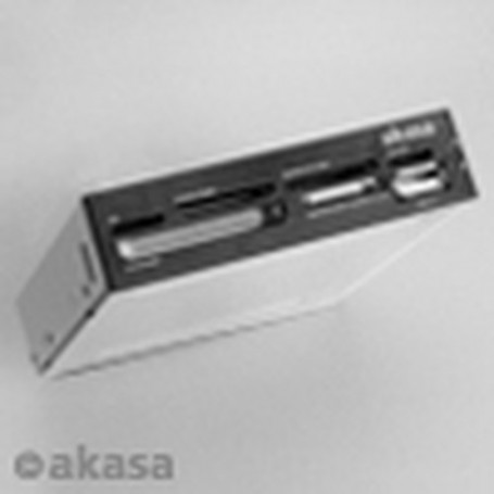 Akasa AK-ICR-07 lettore di schede USB 2.0 Interno (AK-ICR-07)