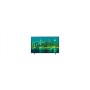 Panasonic LXW704 TX-65LXW704 TV 165,1 cm (65") 4K Ultra HD Smart TV Wi-Fi Nero
