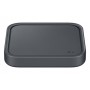 Samsung EP-P2400 Grigio Interno