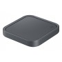 Samsung EP-P2400 Grigio Interno