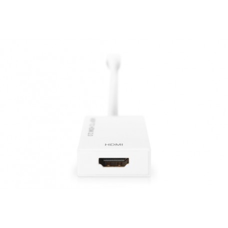 Digitus DB-340416-002-W non classificato