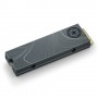 Seagate FireCuda Beskar Ingot M.2 500 GB PCI Express 4.0 3D TLC NVMe