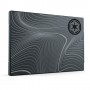 Seagate FireCuda Beskar Ingot 2.5" 1000 GB Serial ATA III 3D TLC
