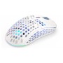 ENDORFY LIX Plus Onyx White Wireless mouse Mano destra RF Wireless + USB Type-C Ottico 19000 DPI
