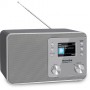 TechniSat Digitradio 307 BT Personale Analogico e digitale Argento