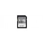 Sony SF-E256 256 GB SDXC UHS-II Classe 10