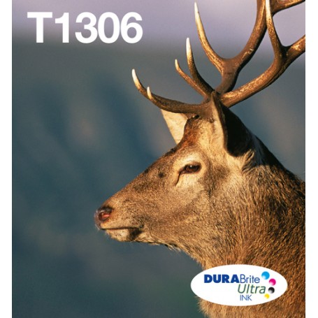 Epson Stag T1306 cartuccia d'inchiostro 3 pz Originale Resa elevata (XL) Ciano, Magenta, Giallo