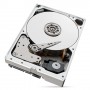 Seagate IronWolf Pro ST10000NT001 disco rigido interno 3.5" 10000 GB