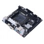 Biostar B450NH scheda madre AMD B450 Socket AM4 mini ATX