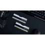G.Skill Trident Z RGB Z5 / F5-5600J3036D16GX2-TZ5RS memoria 32 GB 2 x 16 GB DDR5