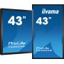 iiyama T4362AS-B1 visualizzatore di messaggi Pannello piatto interattivo 108 cm (42.5") IPS 500 cd/m² 4K Ultra HD Nero T