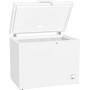 Gorenje FH30DCW congelatore Libera installazione 303 L D Bianco