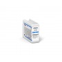 Epson SureColor SC-P900 stampante grandi formati Wi-Fi Ad inchiostro A colori 2880 x 1440 DPI A2 (420 x 594 mm) Collegam
