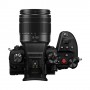 Panasonic Lumix GH6 + G VARIO 12-60mm f/3.5-5.6 ASPH. Power O.I.S. MILC 25,21 MP Live MOS 11552 x 8672 Pixel Nero