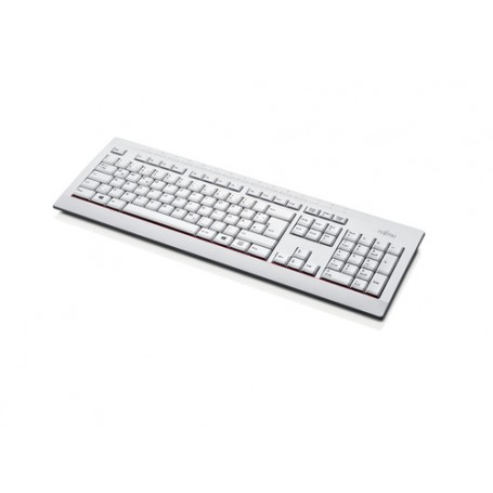 Fujitsu KB521 tastiera USB QWERTZ Ceco, Slovacco Grigio