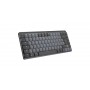 Logitech MX Mini Mechanical tastiera RF senza fili + Bluetooth QWERTZ Tedesco Grafite, Grigio