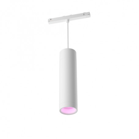 Philips Hue White and Color ambiance 8719514407503 soluzione di illuminazione intelligente Luce a sospensione intelligen