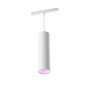 Philips Hue White and Color ambiance 8719514407503 soluzione di illuminazione intelligente Luce a sospensione intelligen