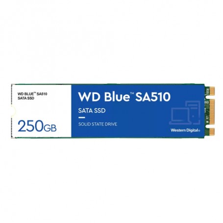 Western Digital Blue SA510 M.2 250 GB Serial ATA III