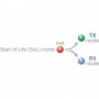 ADDER XDIP estensore KVM