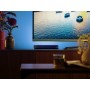 Philips Hue White and Color ambiance Barra luminosa Hue Play, estensione (915005734101)