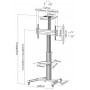 Equip 650602 Supporto per display espositivi 177,8 cm (70") Nero, Bianco (650602)