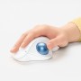 Logitech Ergo M575 mouse Mano destra Wireless a RF + Bluetooth Trackball 2000 DPI (910-005870)