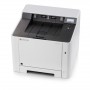 KYOCERA ECOSYS P5026cdw A colori 9600 x 600 DPI A4 Wi-Fi (1102RB3NL0)