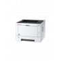 KYOCERA ECOSYS P2040dw 1200 x 1200 DPI A4 Wi-Fi (1102RY3NL0)