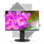 NEC MultiSync EA241F-BK 61 cm (24") 1920 x 1080 Pixel Full HD LED Nero (60004786)