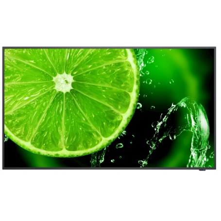 NEC MultiSync E498 124,5 cm (49") IPS 4K Ultra HD Nero (60005052)