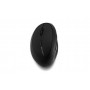 Kensington Mouse wireless Pro Fit® Ergo per mancini (K79810WW)