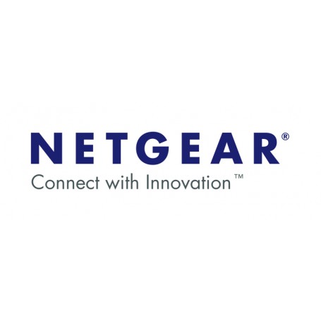 Netgear Layer 3 License Upgrade 1 licenza/e Aggiornamento (GSM7228PL-10000S)