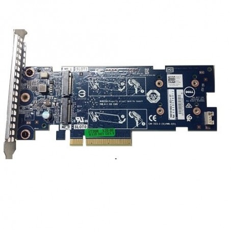 DELL 403-BBVQ controller RAID PCI Express (403-BBVQ)