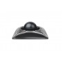 Kensington Trackball ottica Expert (64325)