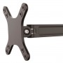 StarTech.com Braccio da Parete per Monitor a doppio Perno (ARMWALLDS)