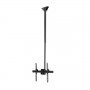 StarTech.com Supporto da Soffitto per TV a schermo piatto da 32" a 70" LCD, LED o Plasma (FLATPNLCEIL)
