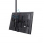 StarTech.com Supporto da Soffitto per TV a schermo piatto da 32" a 70" LCD, LED o Plasma (FLATPNLCEIL)