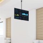 StarTech.com Supporto da Soffitto per TV a schermo piatto da 32" a 70" LCD, LED o Plasma (FLATPNLCEIL)
