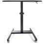 StarTech.com Scrivania Sit-Stand per lavorare in piedi o seduti - Postazione di lavoro ergonomica mobile e regolabile (STSCART2)