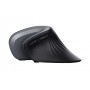 Trust Verro mouse Mano destra RF Wireless Ottico 1600 DPI (23507)