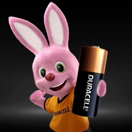 Duracell MN21 Batteria monouso Alcalino (DU25)