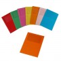CF20 CARTELLINE C/FINESTRA 200GR AS (720-ASS)