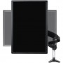 StarTech.com Supporto per Monitor da Scrivania - Braccio per monitor VESA fino a 32" o 49" Ultrawide 8kg - Staffa p (ARMPIVOTE2)